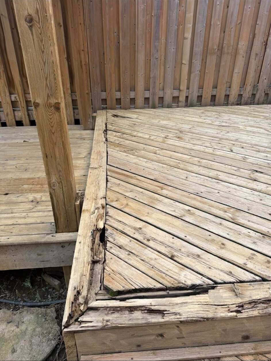 Rotted deck boards exposed during tear-out on a Hamilton backyard deck